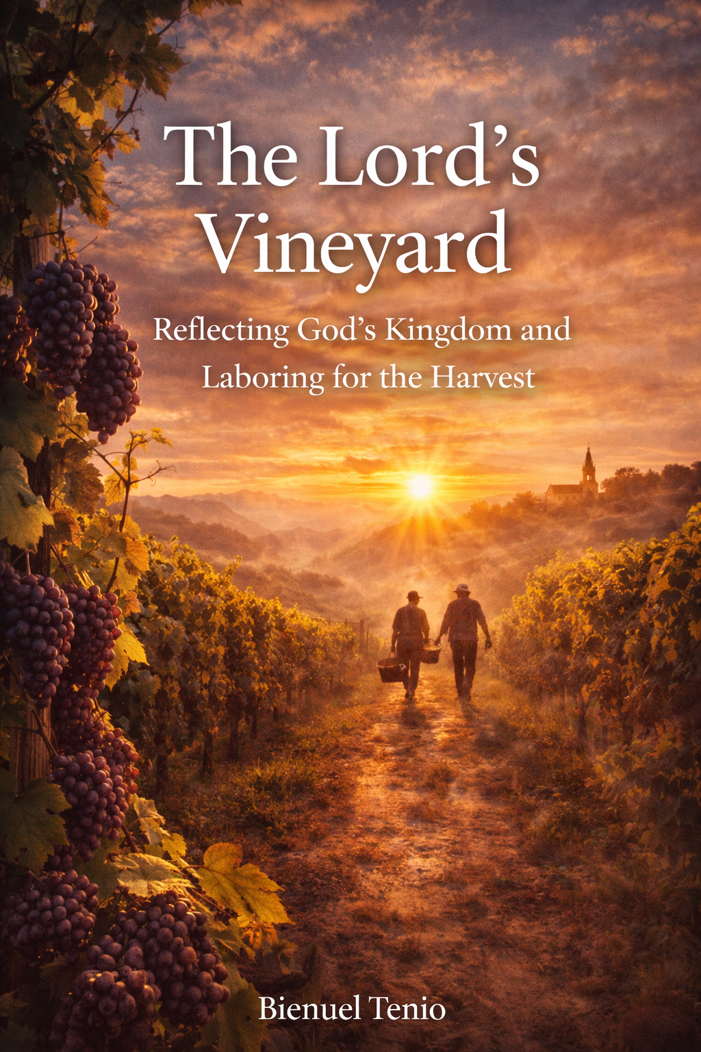 The Lord's Vineyard Book Cover